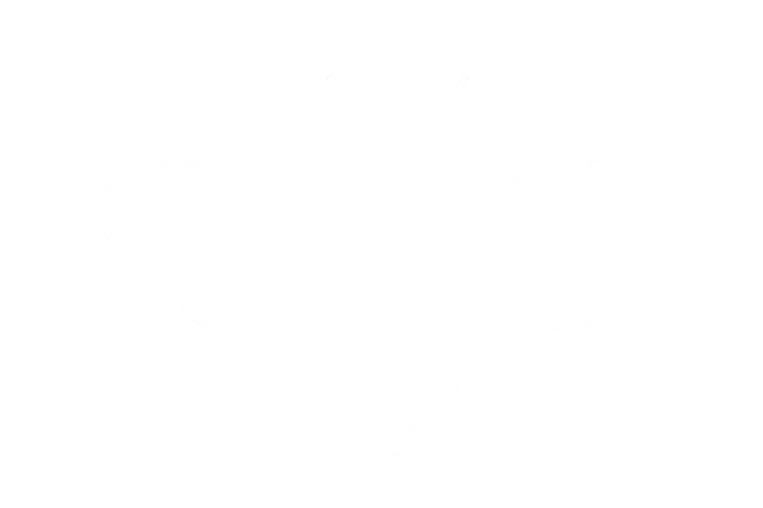 Logo Écoruches